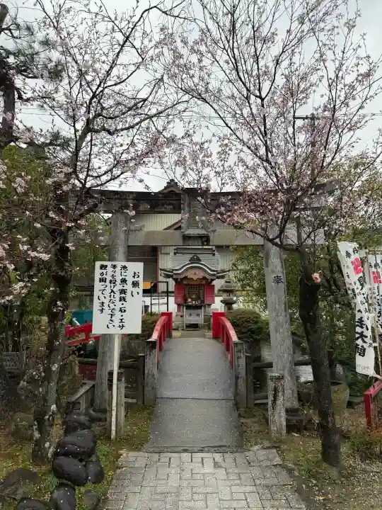 遍照院の{uncategorized: "未分類", other: "その他", undefined: "問題あり", building: "その他建物", grave: "お墓", sacred_gate: "鳥居", guardian: "狛犬", statue: "像", buddha: "仏像", history: "歴史", nature: "自然", garden: "庭園", animal: "動物", pagoda: "塔", temizu: "手水舎", mountain_gate: "山門・神門", sanctuary: "本殿・本堂", subordinate: "末社・摂社", art: "芸術", scenery: "景色", jizo: "地蔵", ema: "絵馬", goshuin: "御朱印", omikuji: "おみくじ", items: "授与品その他", amulet: "お守り", goshuincho: "御朱印帳", eats: "食事", festival: "お祭り", votive_dance: "神楽", shichigosan: "七五三参", wedding: "結婚式", experience: "体験その他", initially: "初詣", around: "周辺", anti_infection: "感染症対策"}