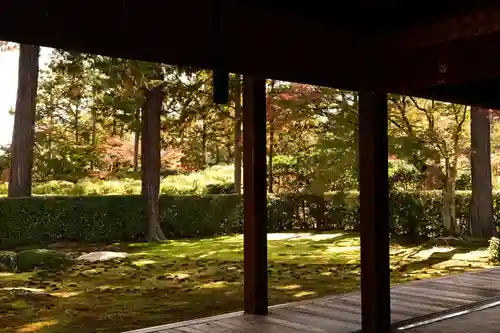 圓通寺(京都府)