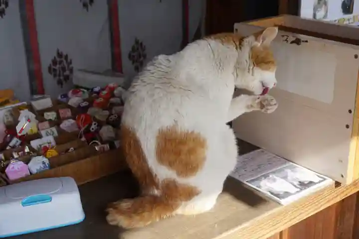 前玉神社の動物