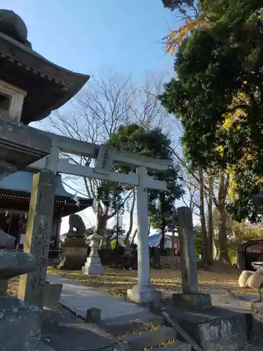 熊野福藏神社の鳥居