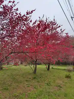 医光寺(群馬県)
