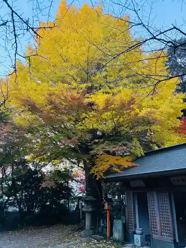 瑞巌寺(徳島県)