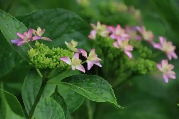 豊景神社の庭園