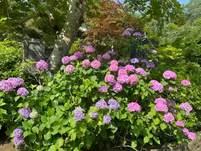 長谷寺(奈良県)