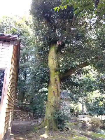 散田天神社(石川県)