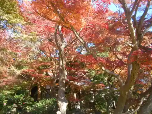 覚園寺の庭園