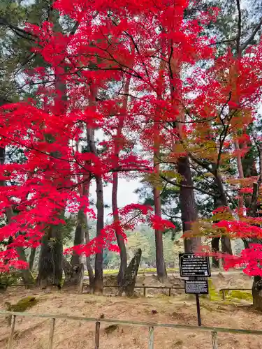 毛越寺(岩手県)