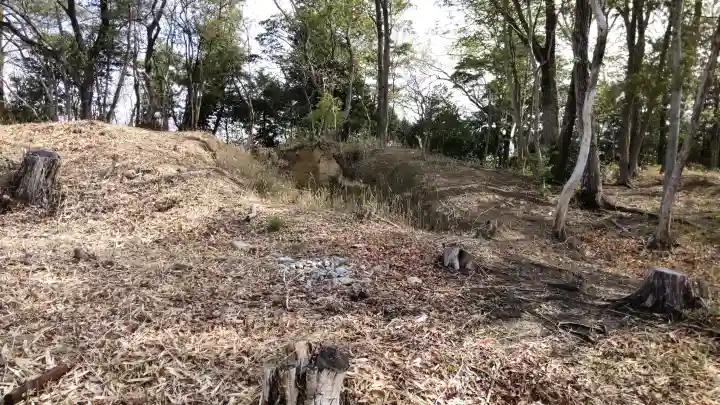 富雄丸山古墳の{uncategorized: "未分類", other: "その他", undefined: "問題あり", building: "その他建物", grave: "お墓", sacred_gate: "鳥居", guardian: "狛犬", statue: "像", buddha: "仏像", history: "歴史", nature: "自然", garden: "庭園", animal: "動物", pagoda: "塔", temizu: "手水舎", mountain_gate: "山門・神門", sanctuary: "本殿・本堂", subordinate: "末社・摂社", art: "芸術", scenery: "景色", jizo: "地蔵", ema: "絵馬", goshuin: "御朱印", omikuji: "おみくじ", items: "授与品その他", amulet: "お守り", goshuincho: "御朱印帳", eats: "食事", festival: "お祭り", votive_dance: "神楽", shichigosan: "七五三参", wedding: "結婚式", experience: "体験その他", initially: "初詣", around: "周辺", anti_infection: "感染症対策"}