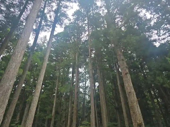 高野山金剛峯寺奥の院(和歌山県)