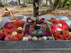 坂本八幡神社の手水