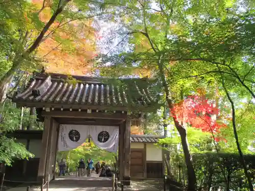 光明寺（粟生光明寺）の山門