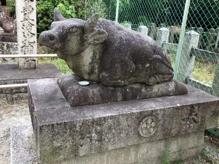 和泉國一之宮 大鳥大社の狛犬