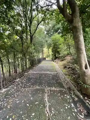 茅ヶ崎杉山神社(神奈川県)