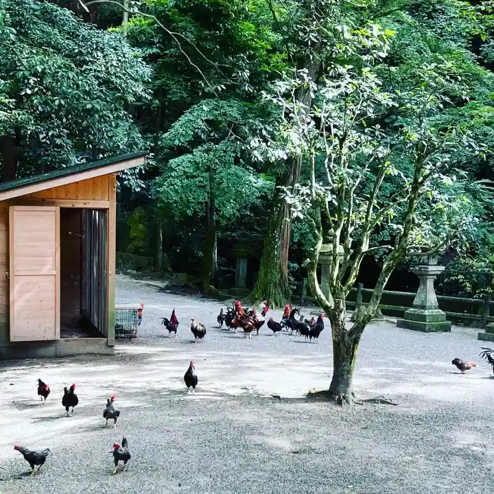 石上神宮の動物