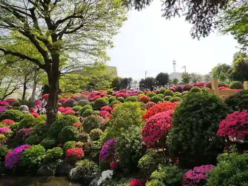 根津神社の庭園