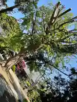 国分寺(千葉県)