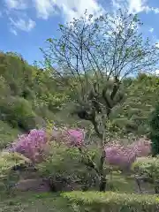 蔵王社(東京都)