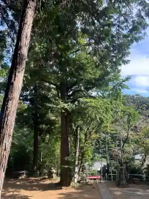 諏訪神社(東京都)