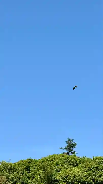 橿原神宮(奈良県)