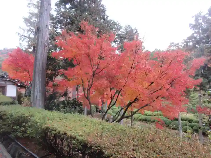 三室戸寺(京都府)