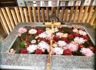 高円寺氷川神社(東京都)