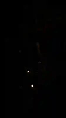 東林院(京都府)