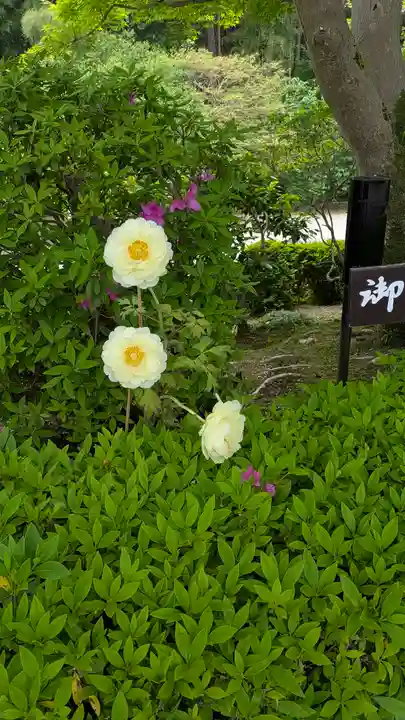 當麻寺奥院(奈良県)