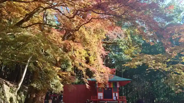 談山神社(奈良県)