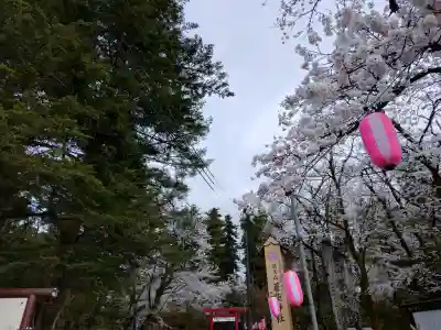 蒼柴神社の{uncategorized: "未分類", other: "その他", undefined: "問題あり", building: "その他建物", grave: "お墓", sacred_gate: "鳥居", guardian: "狛犬", statue: "像", buddha: "仏像", history: "歴史", nature: "自然", garden: "庭園", animal: "動物", pagoda: "塔", temizu: "手水舎", mountain_gate: "山門・神門", sanctuary: "本殿・本堂", subordinate: "末社・摂社", art: "芸術", scenery: "景色", jizo: "地蔵", ema: "絵馬", goshuin: "御朱印", omikuji: "おみくじ", items: "授与品その他", amulet: "お守り", goshuincho: "御朱印帳", eats: "食事", festival: "お祭り", votive_dance: "神楽", shichigosan: "七五三参", wedding: "結婚式", experience: "体験その他", initially: "初詣", around: "周辺", anti_infection: "感染症対策"}