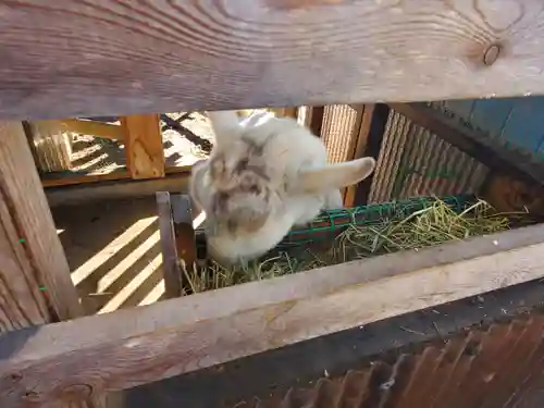 比呂佐和神社(群馬県)