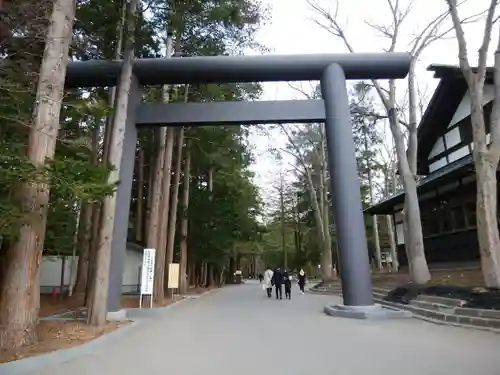北海道神宮の鳥居