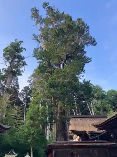 油日神社(滋賀県)