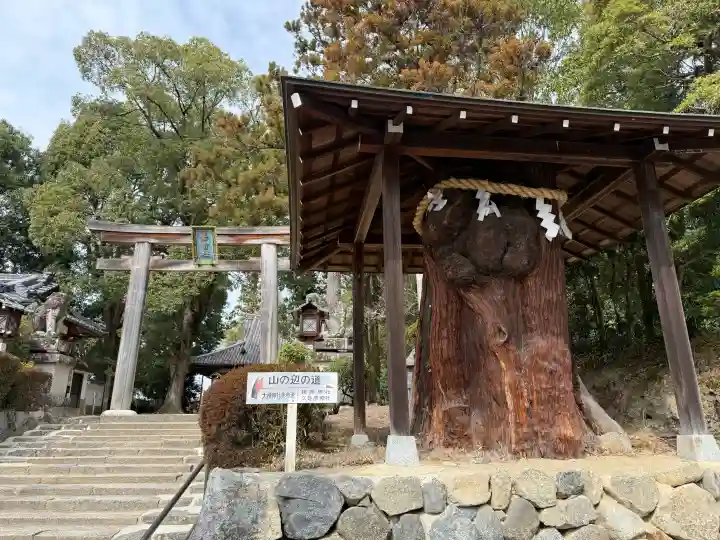 大直禰子神社の{uncategorized: "未分類", other: "その他", undefined: "問題あり", building: "その他建物", grave: "お墓", sacred_gate: "鳥居", guardian: "狛犬", statue: "像", buddha: "仏像", history: "歴史", nature: "自然", garden: "庭園", animal: "動物", pagoda: "塔", temizu: "手水舎", mountain_gate: "山門・神門", sanctuary: "本殿・本堂", subordinate: "末社・摂社", art: "芸術", scenery: "景色", jizo: "地蔵", ema: "絵馬", goshuin: "御朱印", omikuji: "おみくじ", items: "授与品その他", amulet: "お守り", goshuincho: "御朱印帳", eats: "食事", festival: "お祭り", votive_dance: "神楽", shichigosan: "七五三参", wedding: "結婚式", experience: "体験その他", initially: "初詣", around: "周辺", anti_infection: "感染症対策"}