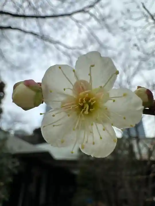 愛宕神社(東京都)
