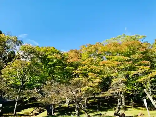 土津神社｜こどもと出世の神さまの自然