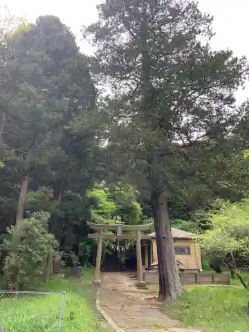 天神社(千葉県)