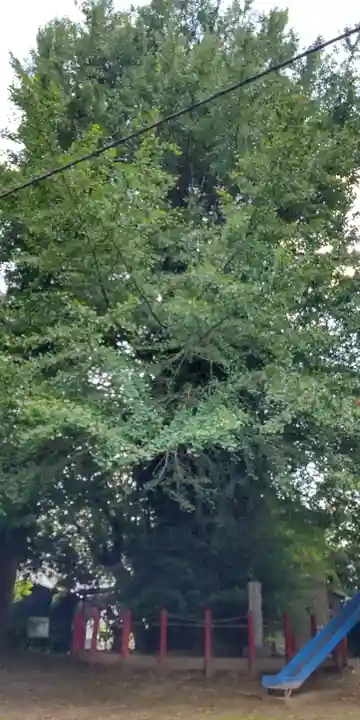 八幡神社(埼玉県)