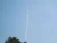 屋久島大社の体験その他