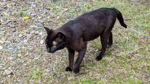 養源院(京都府)