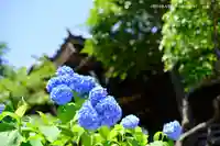 白山神社(東京都)