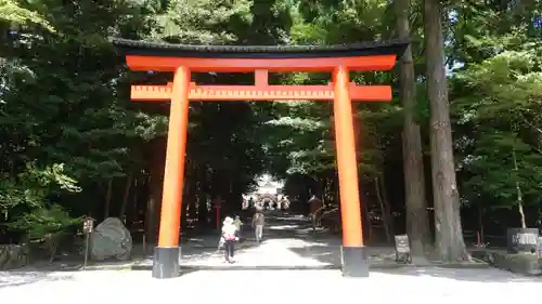 霧島神宮(鹿児島県)
