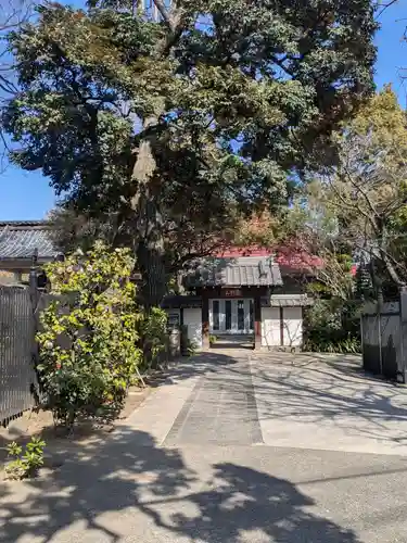 見性寺(東京都)