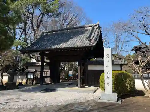 （石井）大智寺(埼玉県)