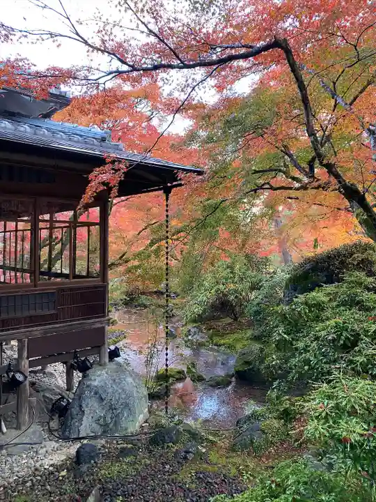 宝厳院(京都府)
