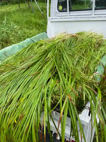 鏑八幡神社(岩手県)