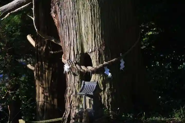 阿久津「田村神社」(郡山市阿久津町)旧社名:伊豆箱根三嶋三社の自然