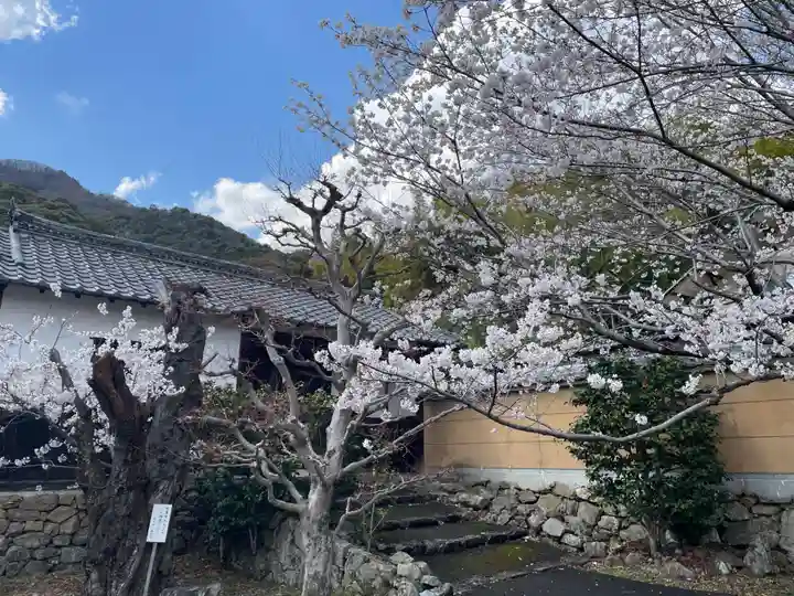 勝持寺(花の寺)(京都府)