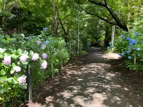 興禅院(埼玉県)