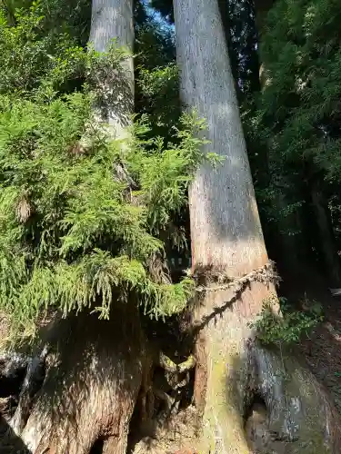 天一神社(奈良県)