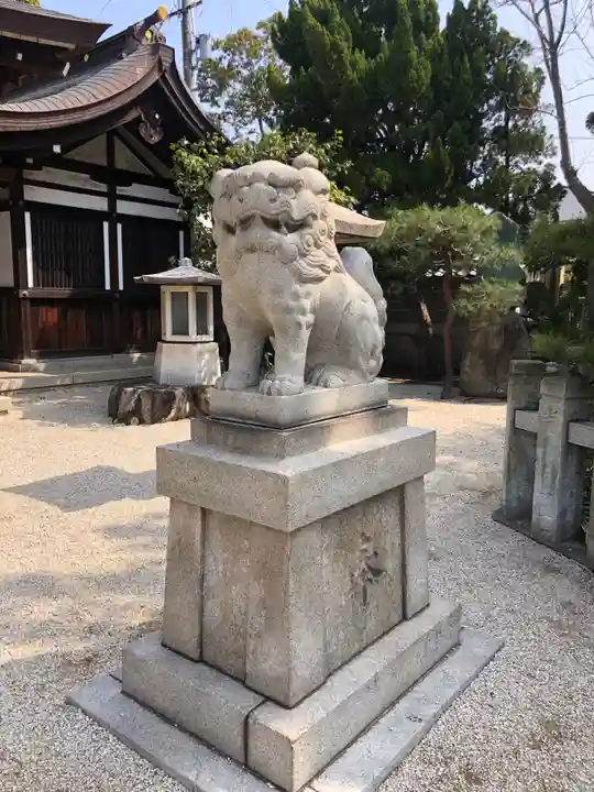 荒井神社の狛犬